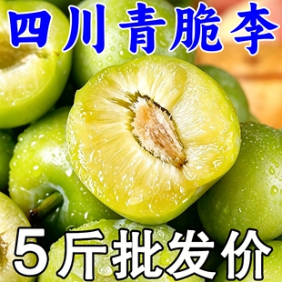 正宗四川青脆红脱骨李子新鲜水果当季整箱巫山甜汶川孕妇李子包邮
