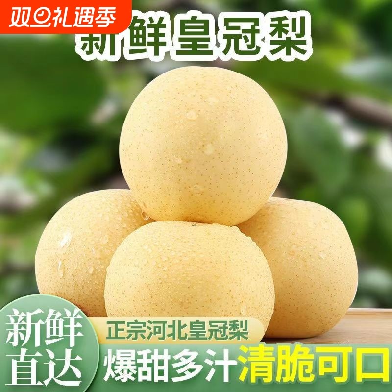 正宗皇冠梨脆甜多汁梨子颗颗精选大果新鲜当季水果雪梨产地直发