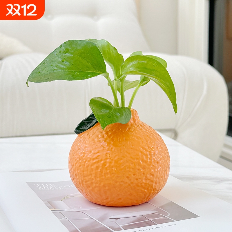 橘子小花瓶摆件客厅插花水培养植物绿萝办公室房间改造桌面装饰品