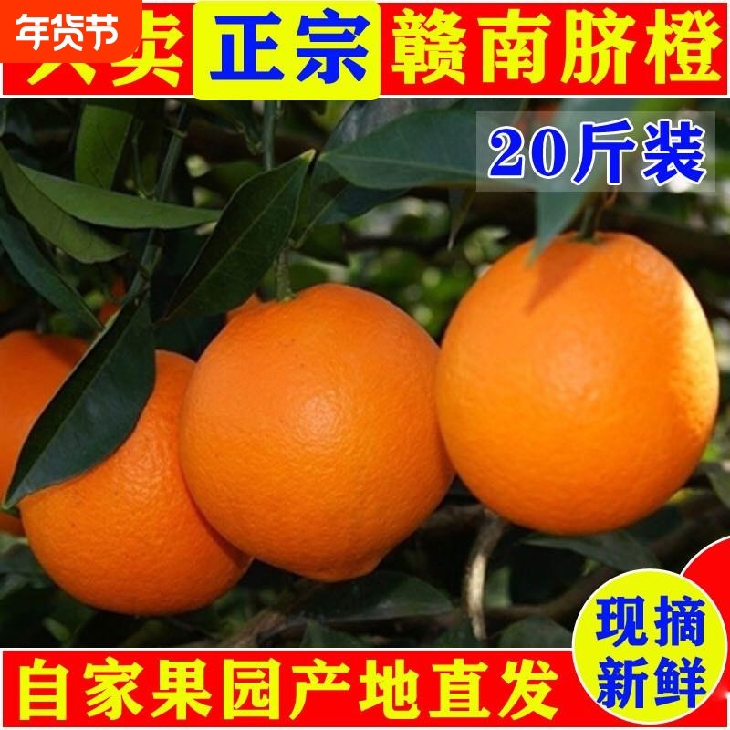 江西正宗赣南脐橙20斤装赣州寻乌甜橙子新鲜水果现摘特级产地直发,水产肉类/新鲜蔬果/熟食,橙,淘宝优惠券,粉丝福利购,淘宝优惠卷