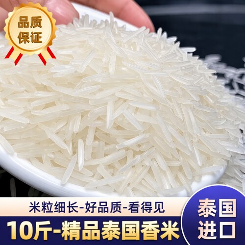纯正泰国原粮进口茉莉香米猫牙米