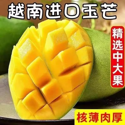越南玉芒青芒现摘新鲜生青芒果需催熟芒果当季水果脆芒果整箱甜