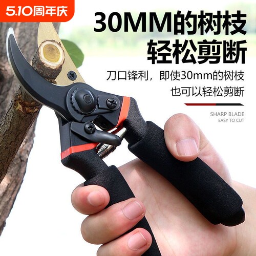 德国进口钢SK5修枝剪省力家用果树园林粗枝剪嫁接花艺园艺剪工具