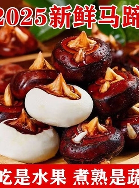 新鲜荸荠马蹄地栗地梨农家水果蔬菜红应季马蹄果5斤现挖脆甜多汁