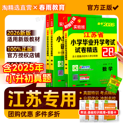 江苏省小学毕业升学考试试卷精选