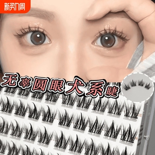 免胶犬系假睫毛狗狗眼无辜大眼睛动物系列眼妆懒人浓密自然眼睫毛