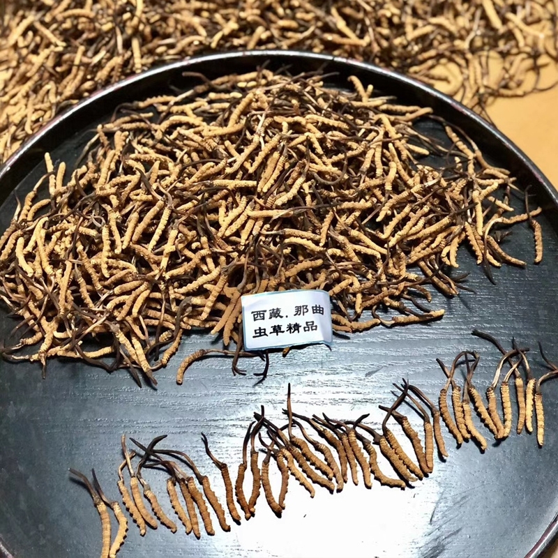 5西藏那曲野生小黄芽冬虫夏草虫草正品高海拔滋补药材精品价格