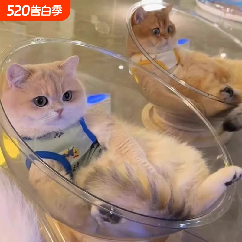 太空舱猫窝四季通用高透亚克力转盘冰窝猫咪玩具猫床一体四季休息