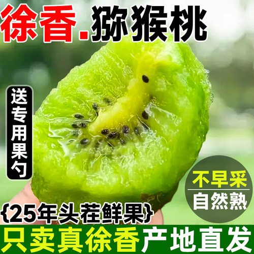 正宗陕西眉县徐香猕猴桃新鲜大果当季整箱产地直发绿心奇异果礼盒