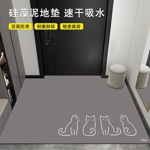 地垫入户门垫门口防滑垫垫子地毯进门脚垫新款 耐脏免洗客厅玄关