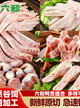 六和生鲜鸭货6斤组合鸭冷冻鸭脖鸭头鸭翅鸭掌鸭锁骨鸭肠卤味新鲜