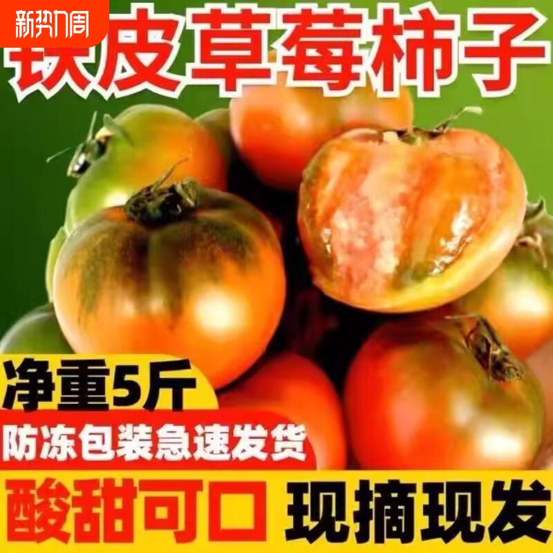 正宗丹东草莓柿子西红柿新鲜碱地铁皮柿子自然熟生吃水果番茄顺丰