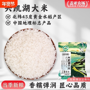 盖亚农场 兴凯湖大米云露香米1斤装东北黑龙江圆粒硬米煮米粥