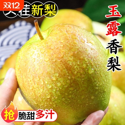 山西玉露香梨,酥脆多汁,细腻化渣