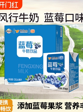 风行牛奶蓝莓味牛奶饮品200ml*12盒儿童学生营养早餐牛奶便携整箱