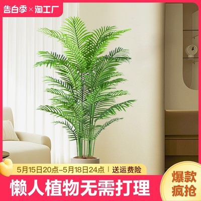 仿真绿植散尾葵落地盆栽室内大型仿生植物摆件客厅轻奢装饰花假树