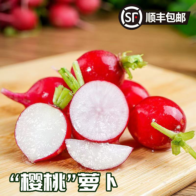 东北产樱桃萝卜水果萝卜应季新鲜蔬菜果蔬去叶发顺丰可生吃蘸酱,水产肉类/新鲜蔬果/熟食,萝卜/胡萝卜,淘宝优惠券,粉丝福利购,淘宝优惠卷