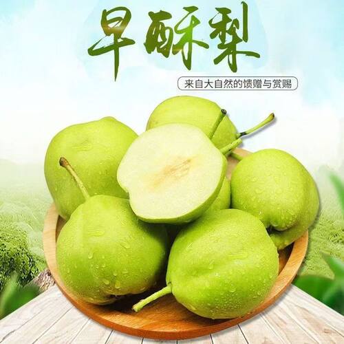 山西早酥梨酥脆多汁爽口产地直发