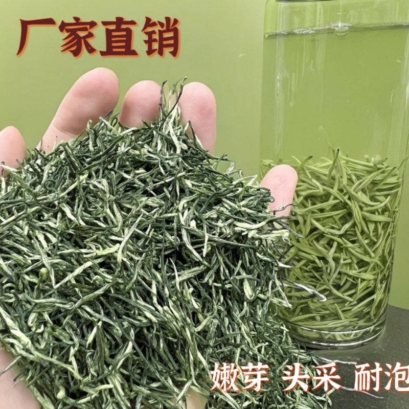 明前信阳毛尖2025新茶味浓回甘绿茶多毫送礼高品质耐泡浓香型嫩芽