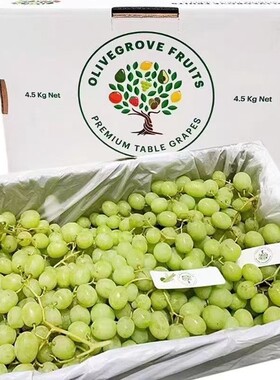 澳洲脆甜无籽青提甜当季新鲜水果
