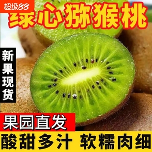獼猴桃純天然應季 新鮮水果 正宗湘西綠心獼猴桃奇異果獼猴桃當季
