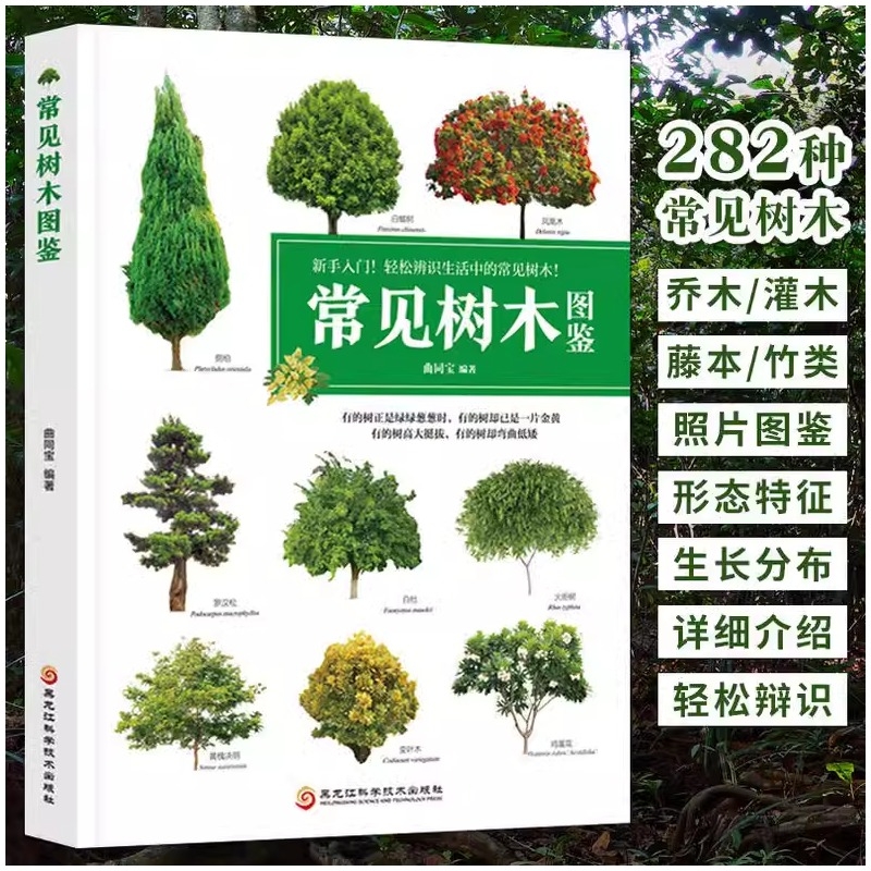 常见树木图鉴 新手入门轻松辨识 大自然植物乔木灌木盆栽盆景园林绿化树木鉴赏识别书籍学生自然百科普全书中国花草树木图鉴大全