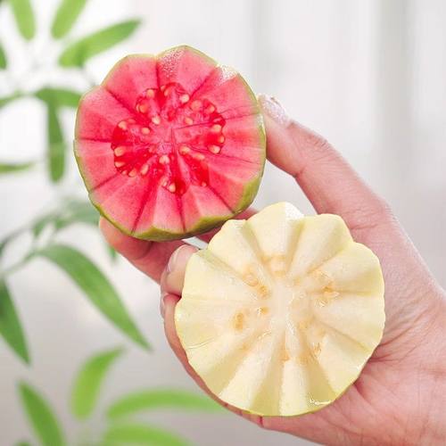 正宗广东红白心双拼奶油芭乐软心软糯新鲜番石榴鸡屎果甜心芭乐