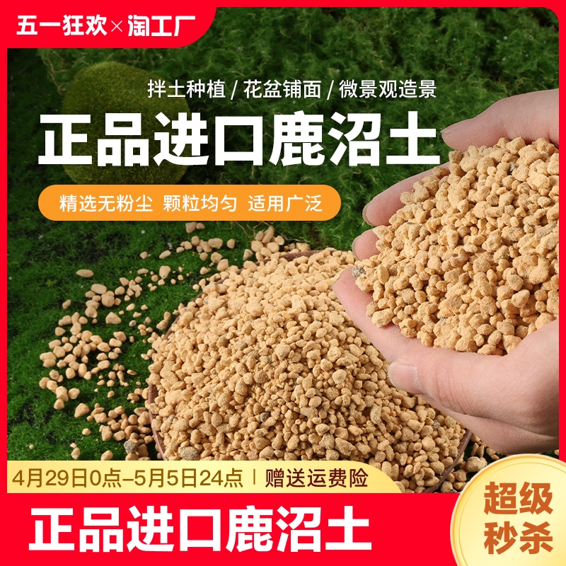 鹿沼土整包进口铺面颗粒小多肉铺面石种植土肉肉专用土硬质促花