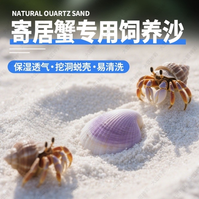 寄居蟹专用砂珊瑚沙天然垫材螃蟹海沙鱼缸造景底砂菲律宾白沙饲养