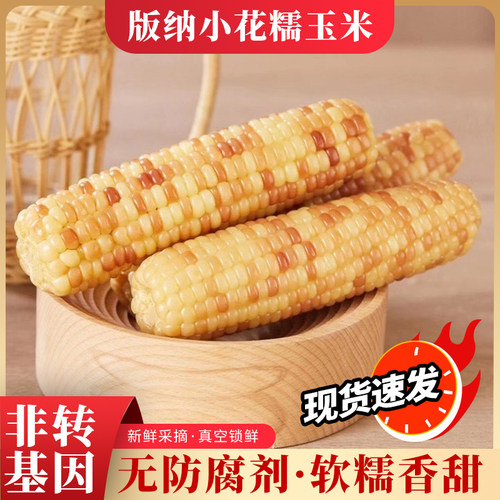 云南西双版纳香糯小玉米早餐代餐新鲜花玉米真空包装开袋即食