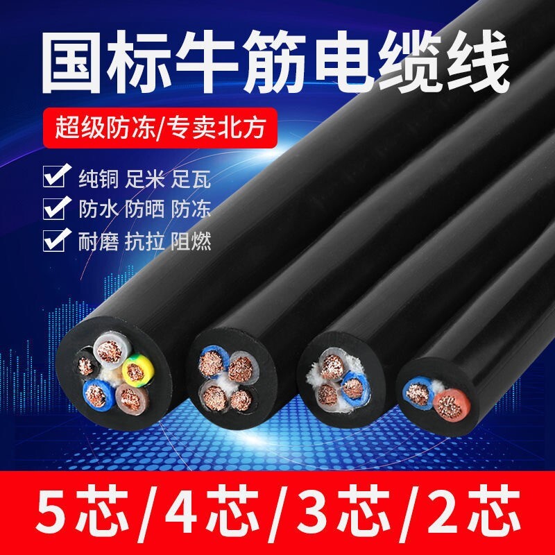 纯铜芯国标家用软电缆线护套2.5/4/6/10平方充电线防冻防水