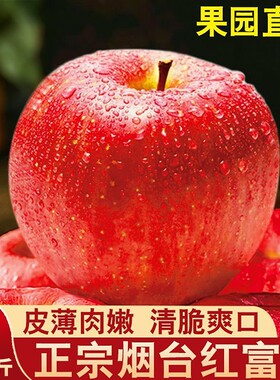 正宗山东烟台红富士冰糖苹果
