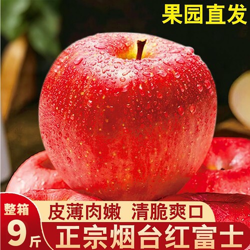 正宗山东烟台红富士冰糖苹果