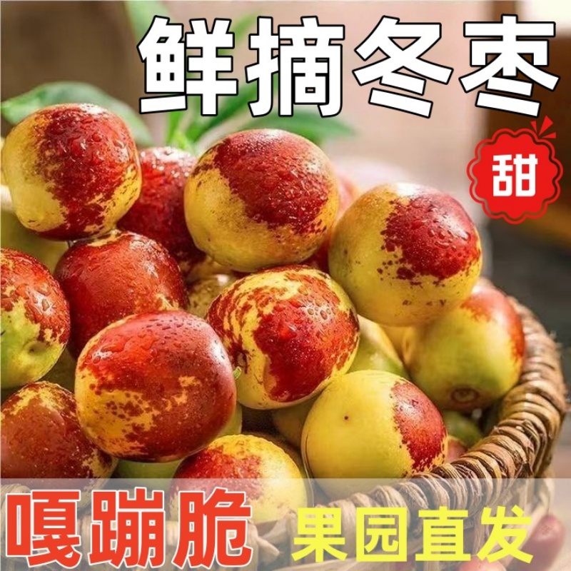 正宗冬枣脆甜新鲜大果应季整箱枣子现摘脆枣冰糖大枣5斤当季水果