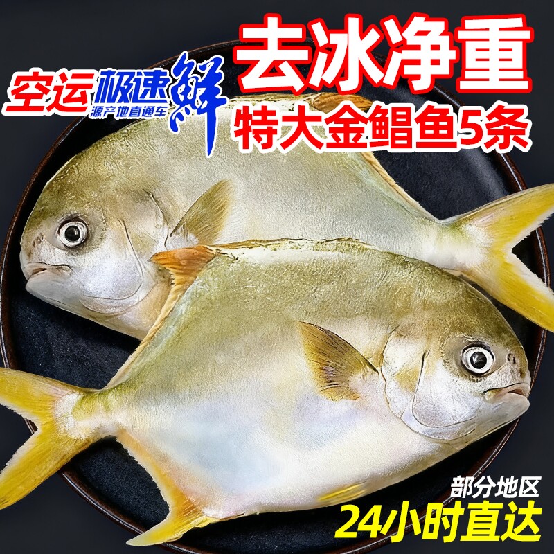 新鲜大金鲳鱼约5斤5条鲜活速冻海鲜水产金昌鱼银鲳鱼大个海鱼扁鱼,水产肉类/新鲜蔬果/熟食,鲳鱼,淘宝优惠券,粉丝福利购,淘宝优惠卷