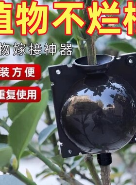 植物高压嫁接盒繁殖花卉果树控根神器扦插枝球生根育苗繁殖器树枝