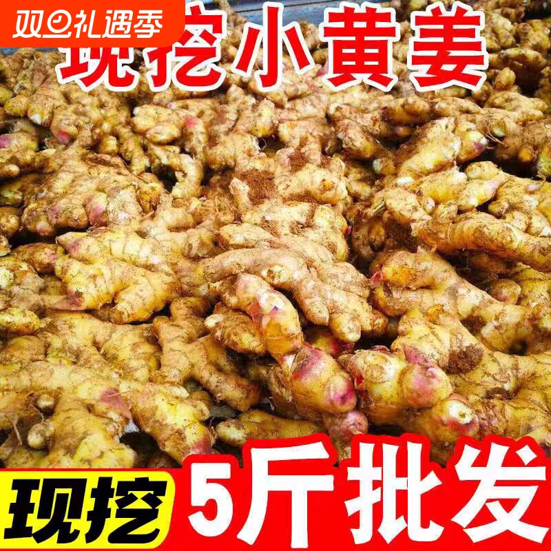 【精品】现挖云南小黄姜新鲜嫩姜正宗小黄姜土姜新姜应季时令蔬菜