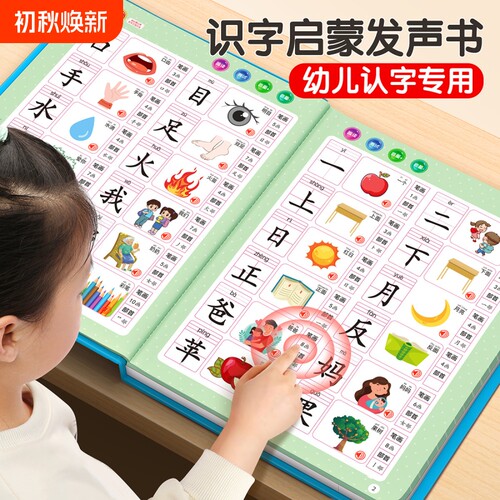 识字书有声书幼儿认字识字大王