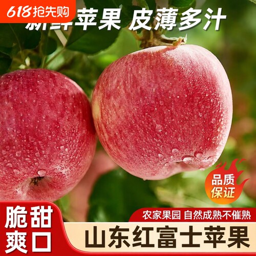山东红富士苹果新鲜自然熟