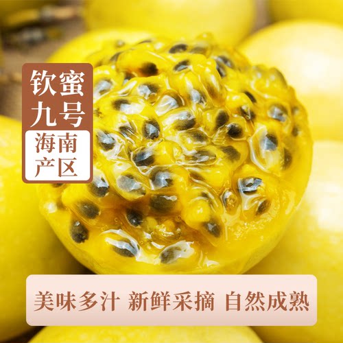 水果礼盒钦蜜9号黄金百香果新鲜包邮大果百香果现摘顺丰鸡蛋果