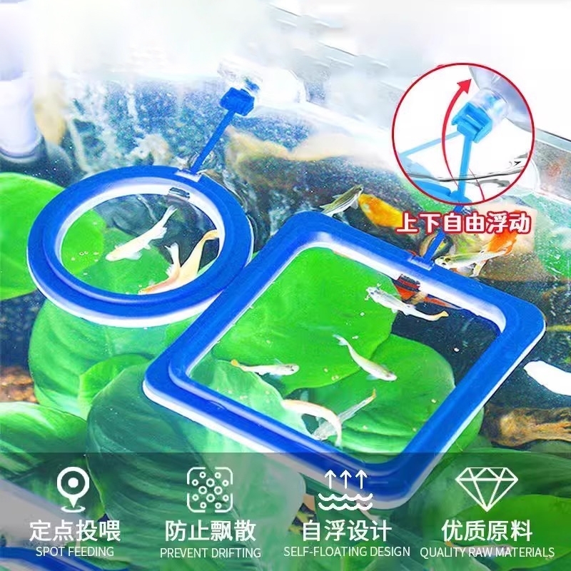 鱼缸喂食圈喂食器定点投喂防污水