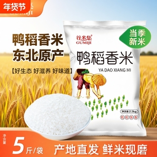 鸭稻香米5斤大米2.5kg珍珠米2025年当季新米直发长粒谷米香稻家用