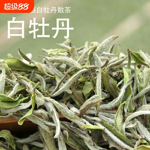 福鼎老白茶2026年白牡丹散装袋装高山茶叶100克500克一级花香手工