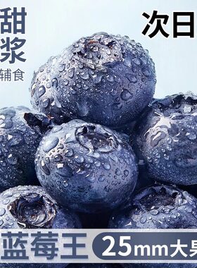 云南蓝莓新鲜水果花香蓝莓鲜果现摘当季特大果l25顺丰/京东空运