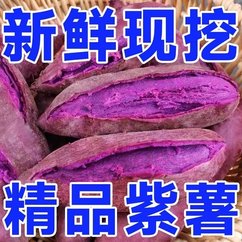2026年正宗紫薯新鲜沙地番薯粉糯香甜板栗红薯地瓜蜜薯冰淇淋紫心图片