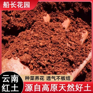云南红土种植土纯天然高原酸性蓝莓专用红泥土养花种菜通用营养土