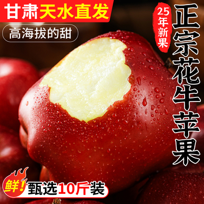 甘肃天水花牛苹果新鲜水果当季糖心红蛇粉面丑平安果10斤整箱