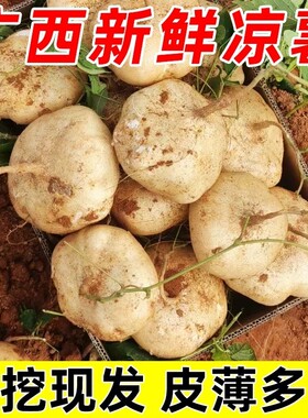广西凉薯新鲜现挖蔬菜水果农家自种白地瓜番薯沙葛凉薯整箱批发