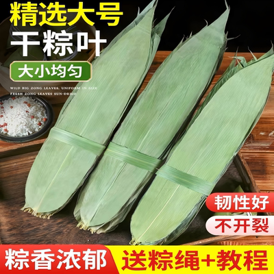 粽子叶干粽叶粽叶干大号棕叶新鲜包粽子的竹叶子商用箬叶材料大叶