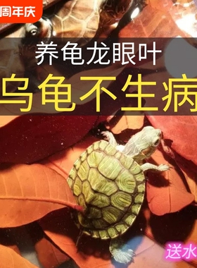 龙眼叶养龟预防腐皮红色南美缸造景躲避草乌龟专用叶大片水质大型